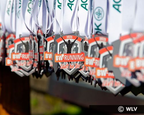 8. AOK Firmenlauf Sulz am Neckar
