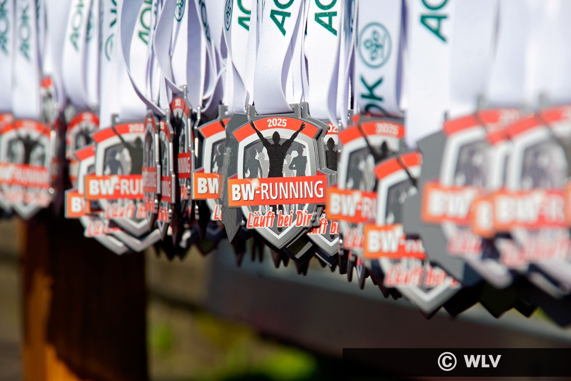 8. AOK Firmenlauf Sulz am Neckar