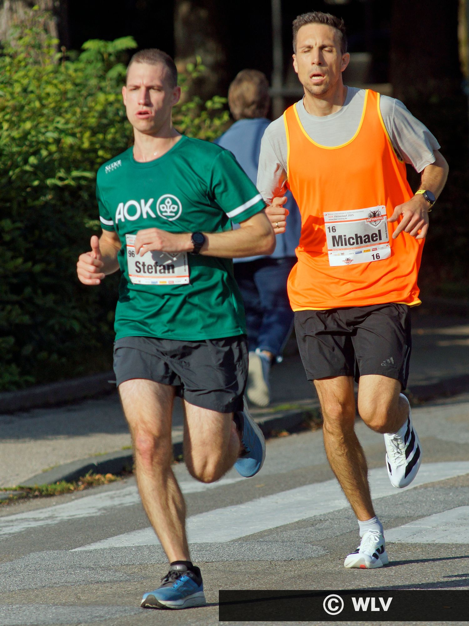 8. AOK Firmenlauf Sulz am Neckar